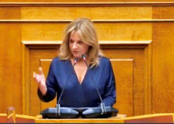 Πρώτη ομιλία Σταρακά στη Βουλή: «Τι θα έκανε το ΠΑΣΟΚ για τους Απόδημους και τη ψήφο τους»