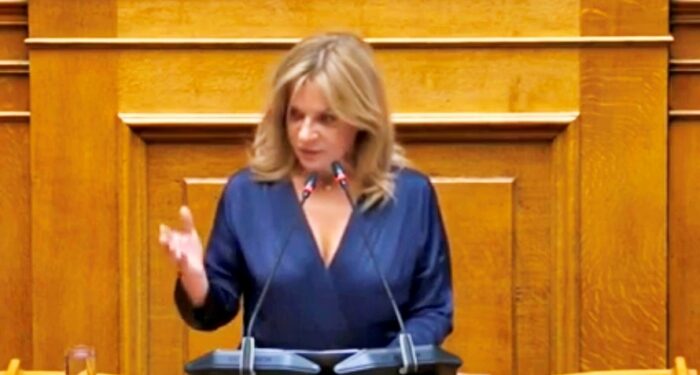 Πρώτη ομιλία Σταρακά στη Βουλή: «Τι θα έκανε το ΠΑΣΟΚ για τους Απόδημους και τη ψήφο τους»