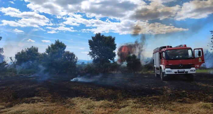 Πρώτη ομιλία Σταρακά στη Βουλή: «Τι θα έκανε το ΠΑΣΟΚ για τους Απόδημους και τη ψήφο τους»