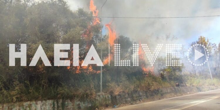 Φωτιά στην Ηλεία: Εκκενώνονται τέσσερις περιοχές – Συναγερμός στην Πυροσβεστική