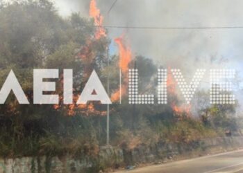 Φωτιά στην Ηλεία: Εκκενώνονται τέσσερις περιοχές – Συναγερμός στην Πυροσβεστική