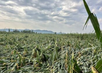Κλιμάκιο της Περιφέρειας σε πληγείσες περιοχές της Αιτωλοακαρνανίας που προκάλεσε το πρόσφατο κύμα κακοκαιρίας