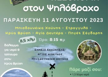 Πεζοπορία στον Ψηλόβραχο στις 11/8
