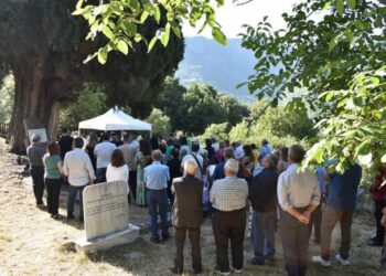 Δέος και συγκίνηση κάτω απ’ το ιστορικό “Κυπαρίσσι του Πατρο-Κοσμά”