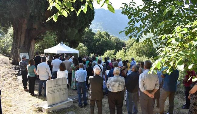 Δέος και συγκίνηση κάτω απ’ το ιστορικό “Κυπαρίσσι του Πατρο-Κοσμά”