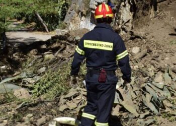 Περιπέτεια για 86χρονο από το Μοναστηράκι Βόνιτσας που πήγε για ρίγανη/οι δικοί του ειδοποίησαν για εξαφάνιση