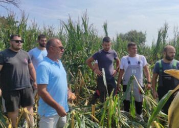 Μεγάλες ζημιές σε καλλιέργειες απ’ τα τελευταία μπουρίνια στην Αιτωλ/νία/Περιοδεία Παπαναστάση Μεγάλες ζημιές σε καλλιέργειες απ’ τα τελευταία μπουρίνια στην Αιτωλ/νία/