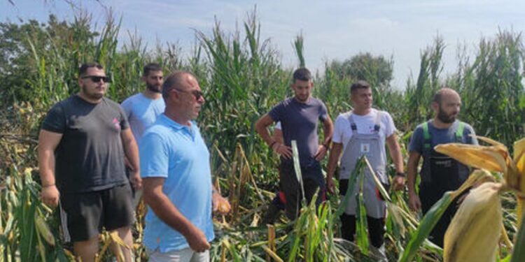 Μεγάλες ζημιές σε καλλιέργειες απ’ τα τελευταία μπουρίνια στην Αιτωλ/νία/Περιοδεία Παπαναστάση Μεγάλες ζημιές σε καλλιέργειες απ’ τα τελευταία μπουρίνια στην Αιτωλ/νία/