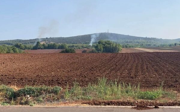 Εμπρησμός: Αρνείται τις κατηγορίες ο 45χρονος που συνελήφθη στον Αυλώνα – Επικαλείται ψυχιατρικό πρόβλημα
