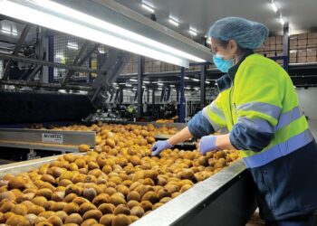 Α. Σ. Νεάπολης: αγγελία πρόσληψης εποχικού προσωπικού