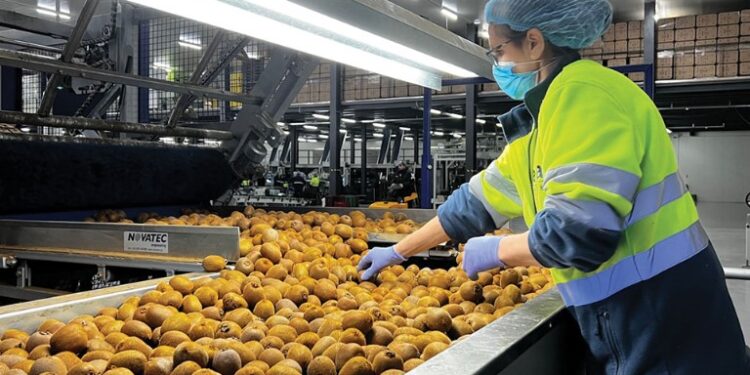 Α. Σ. Νεάπολης: αγγελία πρόσληψης εποχικού προσωπικού