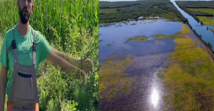 Πεδιάδα Αγρινίου: Αύγουστος και …καλλιεργήσιμες εκτάσεις γης “θάφτηκαν” στο νερό-Διαμαρτυρίες αγροτών! (βιντεο)