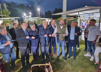 Νεκτάριος Φαρμάκης: Η αγροτική παραγωγή της Δυτικής Ελλάδας στο «κατώφλι» νέας εποχής