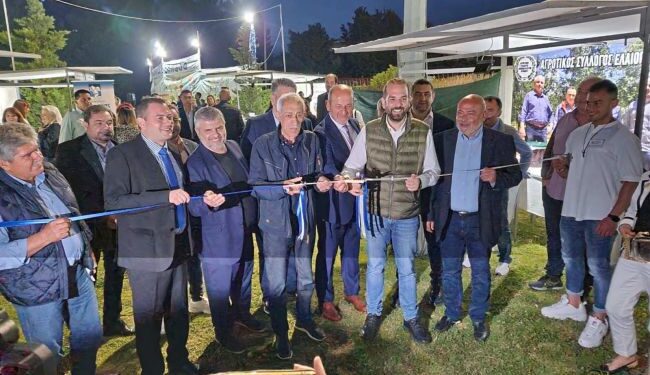 Νεκτάριος Φαρμάκης: Η αγροτική παραγωγή της Δυτικής Ελλάδας στο «κατώφλι» νέας εποχής