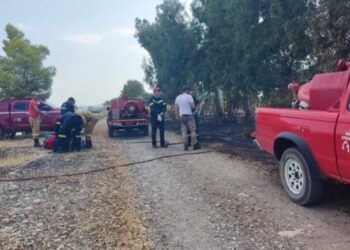 Υπό έλεγχο η πυρκαγιά στο νησί της Τουρλίδας