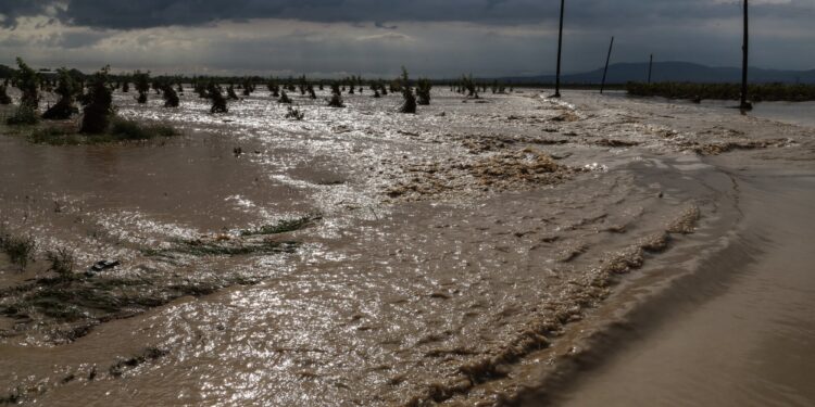 Κακοκαιρία Elias: Σπίτι παρασύρεται από τα ορμητικά νερά στην Εύβοια