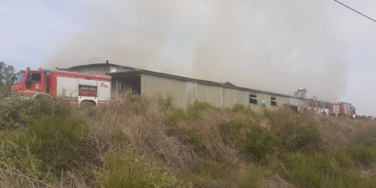 Τεράστιες καταστροφές σε στάβλο από φωτιά στον Κουβαρά Ξηρομέρου