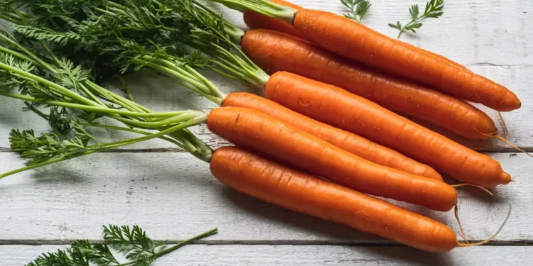Καρότα: Το λαχανικό που προστατεύει όραση, καρδιά και ανοσοποιητικό