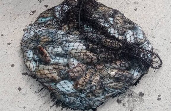 Πρόστιμο και κατάσχεση για παράνομη αλιεία στον Αμβρακικό