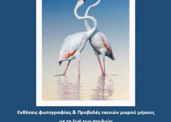 Έκθεση φωτογραφίας «Γιορτή των Πουλιών» του Καλλιτέχνη Βασίλη Αρτίκου, στο Μεσολόγγι