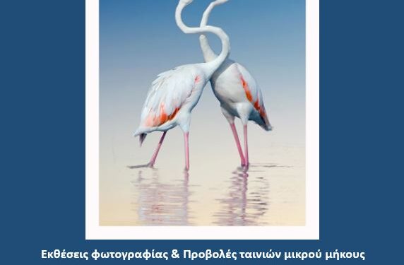 Έκθεση φωτογραφίας «Γιορτή των Πουλιών» του Καλλιτέχνη Βασίλη Αρτίκου, στο Μεσολόγγι