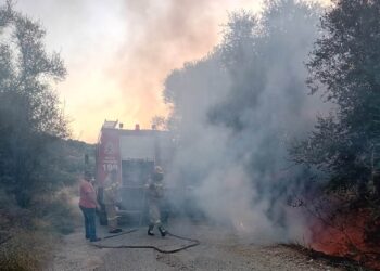 Φωτιά στη Σταμνά Μεσολογγίου