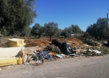 Αυτή την εικόνα συναντά κανείς στο δρόμο για τον Άγιο Ιωάννη Ρηγανα Αγρινίου