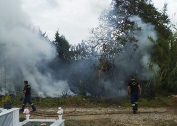 Φωτιά στο νεκροταφείο Αγρινίου/ μεγάλη κινητοποίηση της πυροσβεστικής