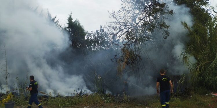 Φωτιά στο νεκροταφείο Αγρινίου/ μεγάλη κινητοποίηση της πυροσβεστικής