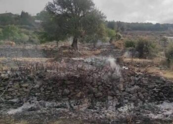 Κινητοποίηση για φωτιά στην Καλλιθέα Τριχωνίδας, εντός του οικισμού