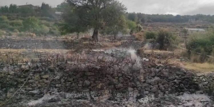 Κινητοποίηση για φωτιά στην Καλλιθέα Τριχωνίδας, εντός του οικισμού