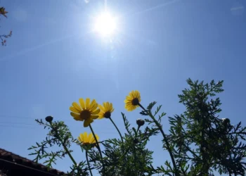 Νέα άνοδος της θερμοκρασίας το Σάββατο – Πού θα ξεπεράσει τους 30