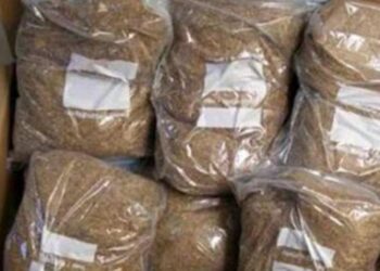 “Λαβράκι” σε ελέγχους λεωφορείων από Αγρίνιο-Αθήνα – Εντόπισαν 104 κιλά λαθραίου καπνού