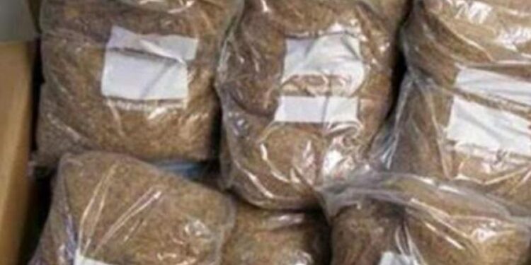 “Λαβράκι” σε ελέγχους λεωφορείων από Αγρίνιο-Αθήνα – Εντόπισαν 104 κιλά λαθραίου καπνού