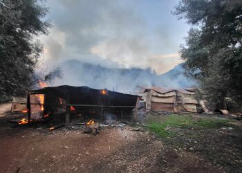 Πυρκαγιά σε ποιμνιοστάσιο στο Ξηρόμερο Αιτωλοακαρνανίας