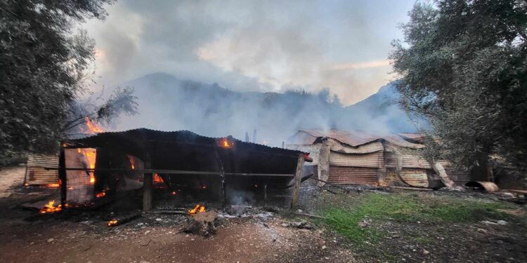 Πυρκαγιά σε ποιμνιοστάσιο στο Ξηρόμερο Αιτωλοακαρνανίας