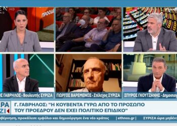 Γ. Βαρεμένος: «Δημοψήφισμα για διαγραφές δεν έχει ξαναγίνει στα παγκόσμια χρονικά»