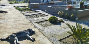 Ειδήσεις & Ρεπορτάζ από το Αγρίνιο και την Αιτωλοακαρνανία