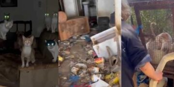 Ειδήσεις & Ρεπορτάζ από το Αγρίνιο και την Αιτωλοακαρνανία