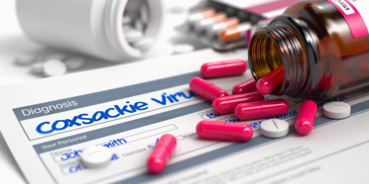 Iός κοξάκι: Πώς μεταδίδεται – Τι συμβουλές δίνει η Ματίνα Παγώνη