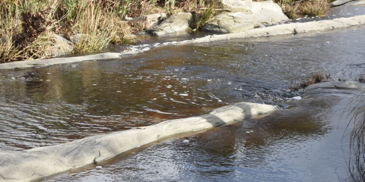 Φούσκωσε με μαύρο υγρό το ρυάκι που καταλήγει στη  λίμνη Στράτου -Τι λένε οι κάτοικοι!