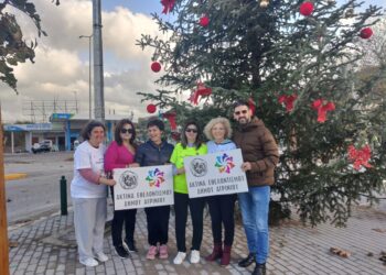Στολίστηκε το  χριστουγεννιάτικο δένδρο στην είσοδο της Μακρυνείας