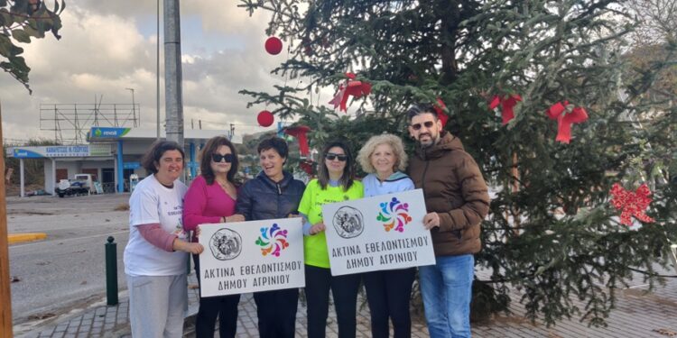 Στολίστηκε το  χριστουγεννιάτικο δένδρο στην είσοδο της Μακρυνείας