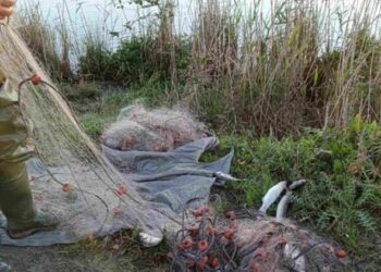 Οργανωμένη κινητοποίηση του Λιμενικού στην θαλάσσια περιοχή Αμβρακικού Κόλπου