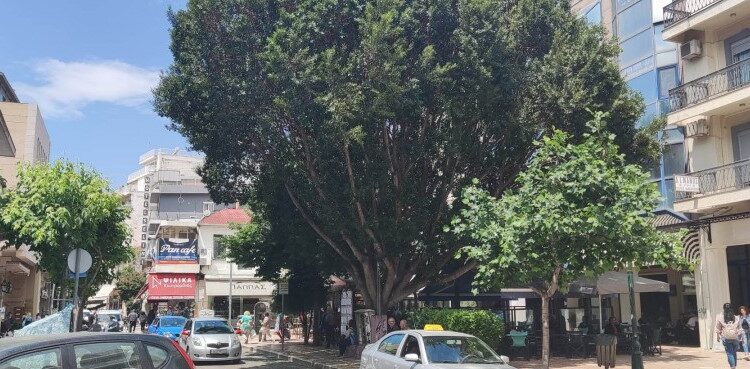 Με 8.000 ευρώ αποζημίωσε ο Δήμος Αγρινίου Αγρινιώτισσα που τραυματίστηκε σε πεζοδρόμιο της πλατείας Ειρήνης!