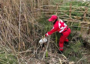 Μεσολόγγι: O Ελληνικός Ερυθρός Σταυρός στις έρευνες για τον εντοπισμό του 28χρονου