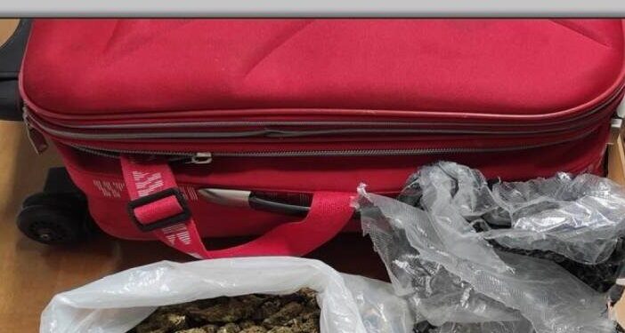 Παρέλαβε βαλίτσα με μισό κιλό κάνναβης από λεωφορείο του ΚΤΕΛ