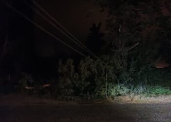 Ξεκίνησε η επέλαση της κακοκαιρίας στην Αιτωλ/νία– Πτώση δέντρου στο δρόμο Πλαγιά- Περατιά