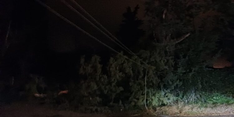 Ξεκίνησε η επέλαση της κακοκαιρίας στην Αιτωλ/νία– Πτώση δέντρου στο δρόμο Πλαγιά- Περατιά