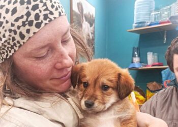 Μεσολόγγι: Σοκαρίστηκαν Πολωνοί ποδηλάτες όταν βρήκαν σκυλάκι μέσα σε σακούλα και πεταμένο στο δρόμο και το …..υιοθέτησαν!(βιντεο)